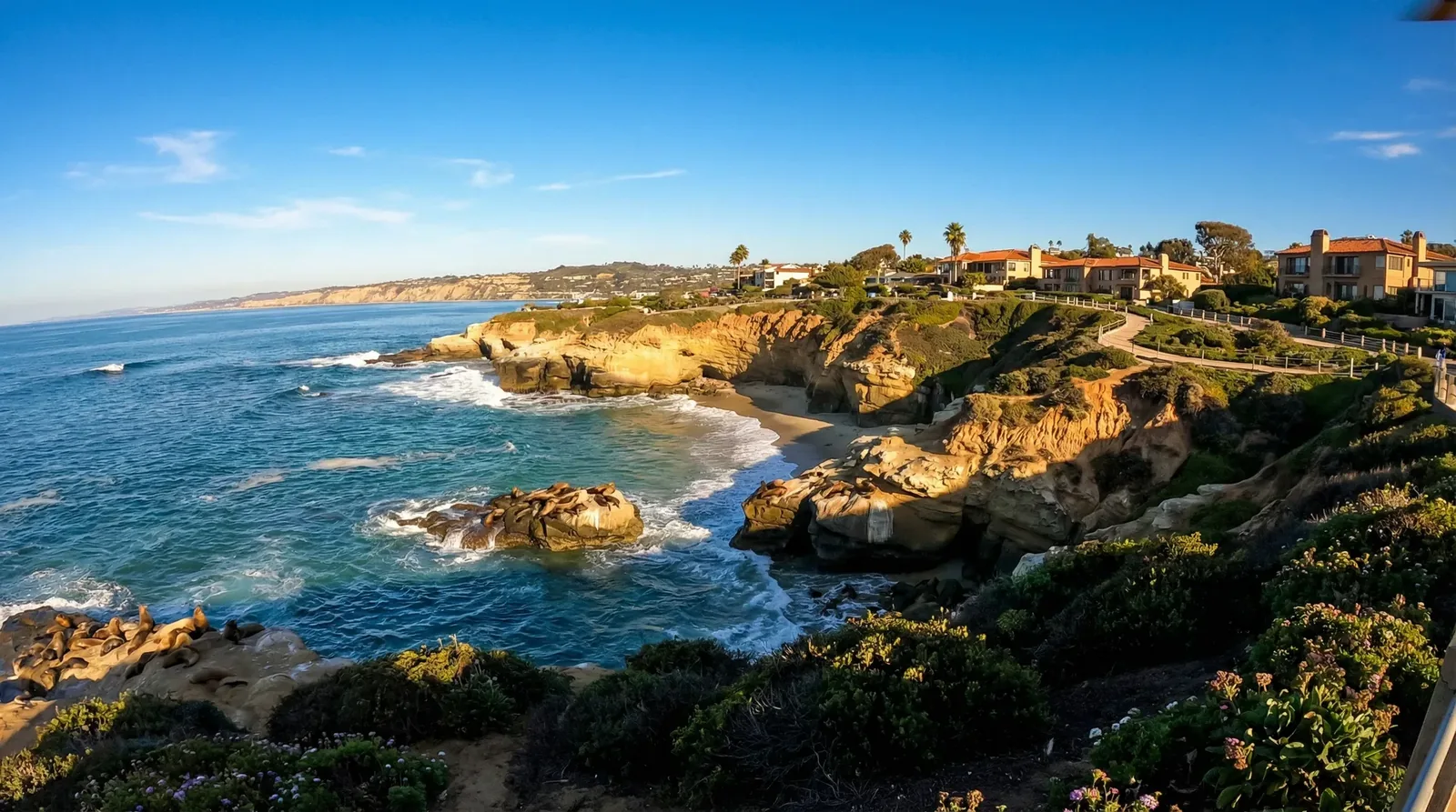 La Jolla Cove and luxury coastal homes